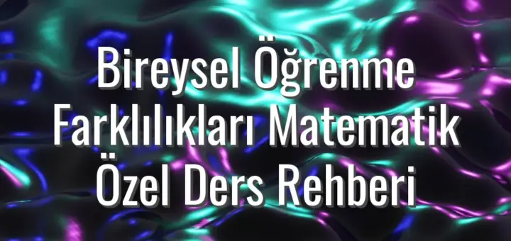 Bireysel Öğrenme Farklılıkları Matematik Özel Ders Rehberi