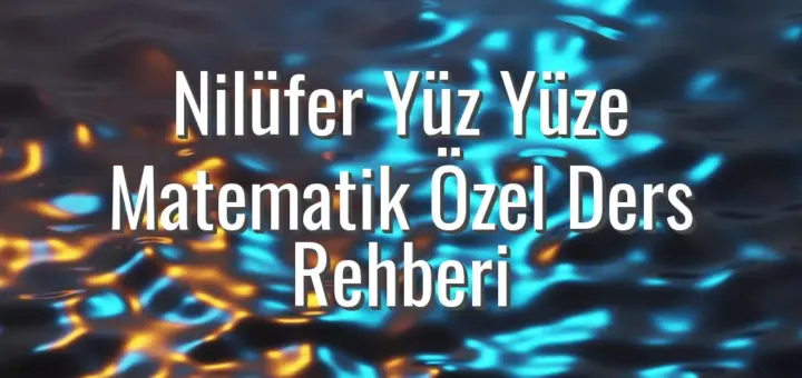 Nilüfer Yüz Yüze Matematik Özel Ders Rehberi
